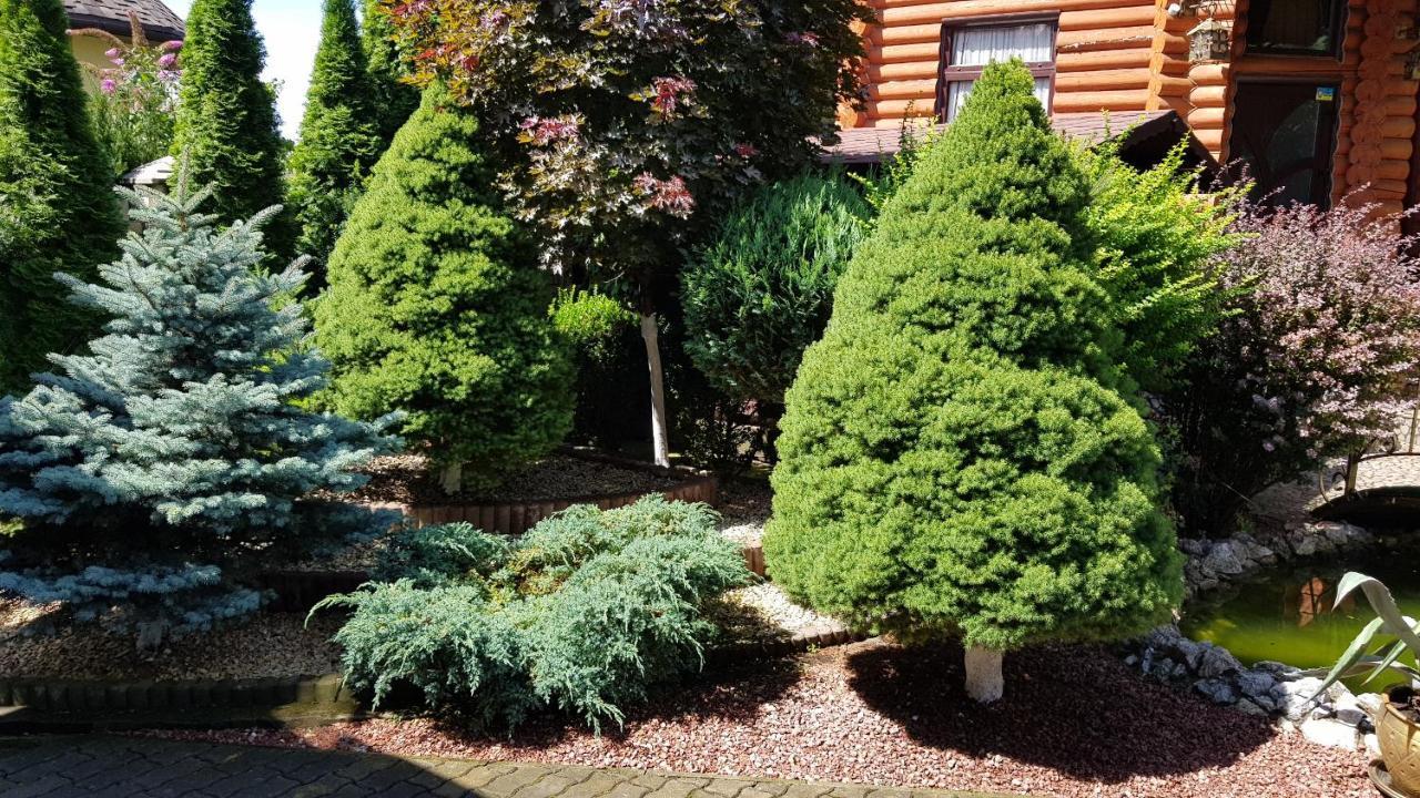Luxury Villa With Pool And Sauna Csernyivci Kültér fotó